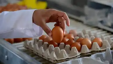 ABD'de Yumurta Krizi: Fiyatlar Tavan Yaptı!