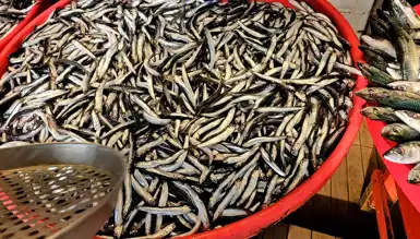 Lodos, Balık Fiyatlarını Tavan Yaptı!